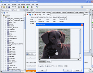 Oracle SQL Developer BLOB Support