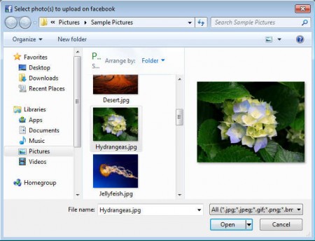 Easy Facebook Photo Uploader default window