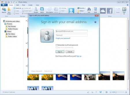 Windows Live Essentials 2012 Photo Gallery default