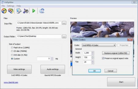 VidSplitter splitting settings