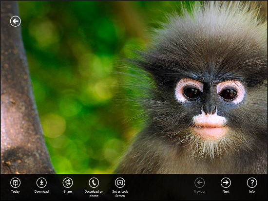 bing wallaper for windows8 lockscreen changer