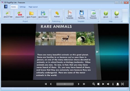 3DPageFlip Lite free flip book software default window