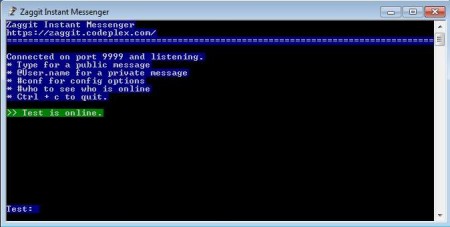 Zaggit Instant Messenger default window
