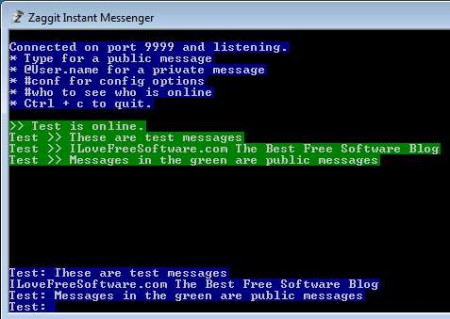 Zaggit Instant Messenger sending messages