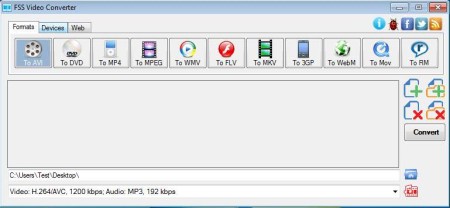 FSS Video Converter default window