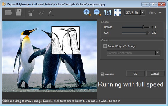 RepaintMyImage default window