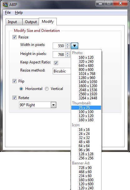 Acute Batch Image Processor sizes