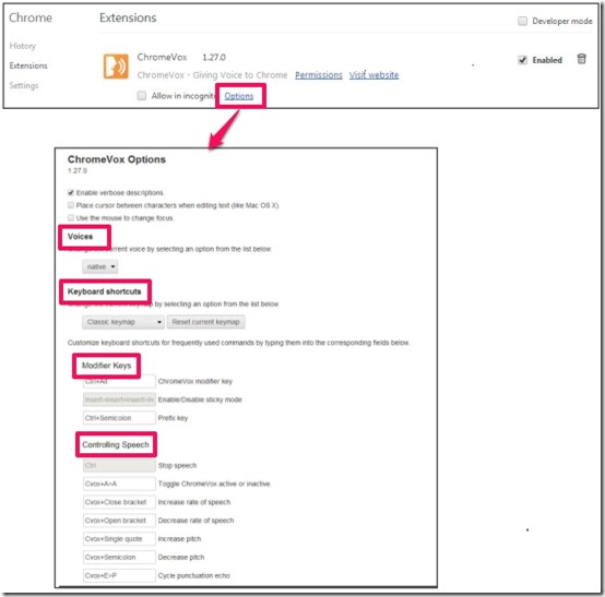 ChromeVox Options