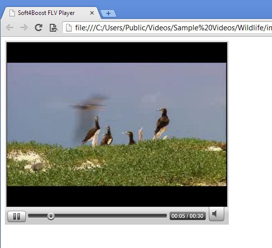 Soft4Boost Video to Flash converted video playing