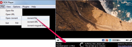 ROX Player- play torrent file