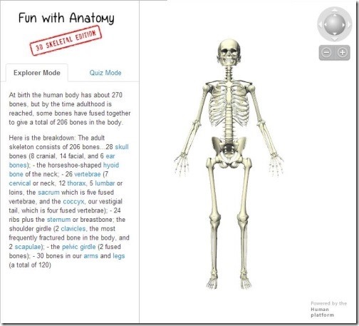 Fun with Anatomy