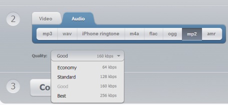 Online Video Converter- audio option