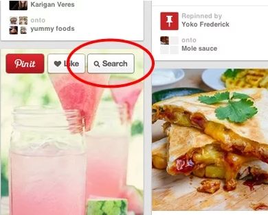 pinterest extensions chrome image search