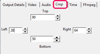 crop output video size