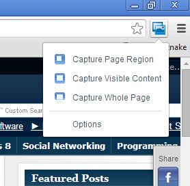 screenshot page entire google chrome-6