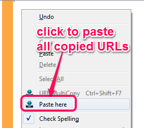 paste all URLs