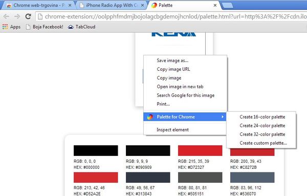 color palette extensions google chrome 1