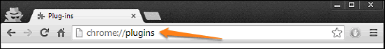 google chrome plugins page access