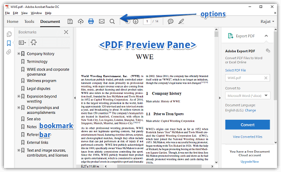 adobe acrobat reader dc pdf opened