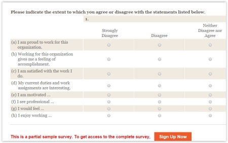 employee satisfaction surveys