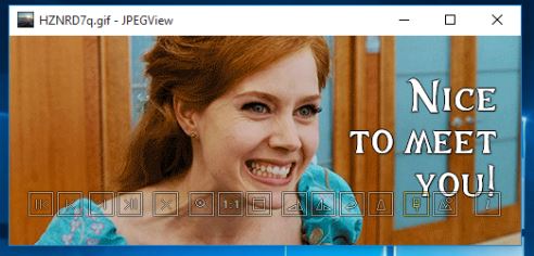 GIF viewer software windows 10 3