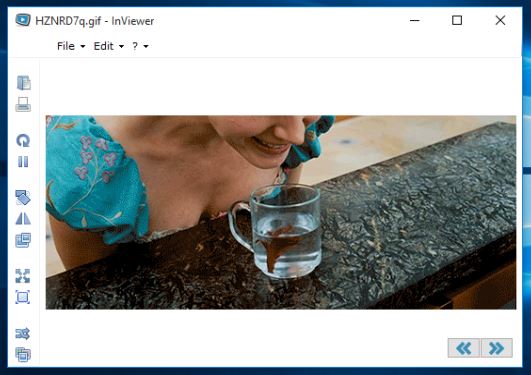 GIF viewer software windows 10 5