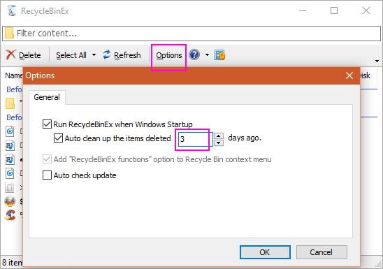 recyclebinex options