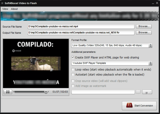 Soft4Boost Video to Flash