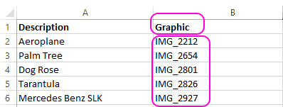 example database with image names