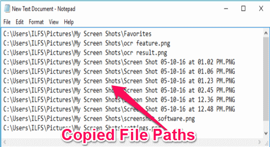 copied file paths