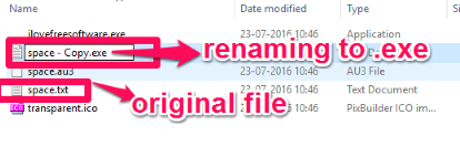 .exe_extension_used_to_rename_the_copied_file