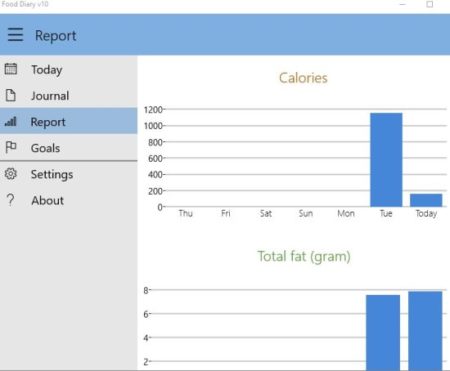 food diary report