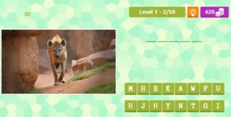 animal quiz layout