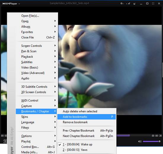 Adding bookmarks KMPlayer