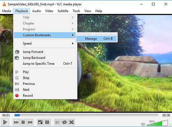 Adding bookmarks via VLC