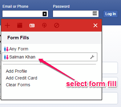 add form fields details