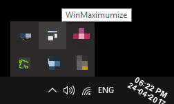 WinMaximumize in tray