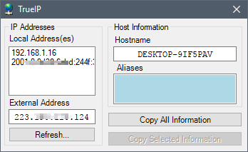 true ip interface