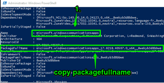 copy packagefull name