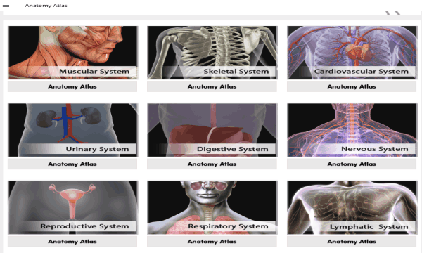 anatomy atlas