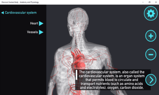 discover human body