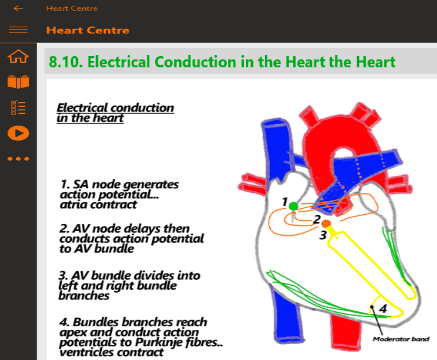 heart centre