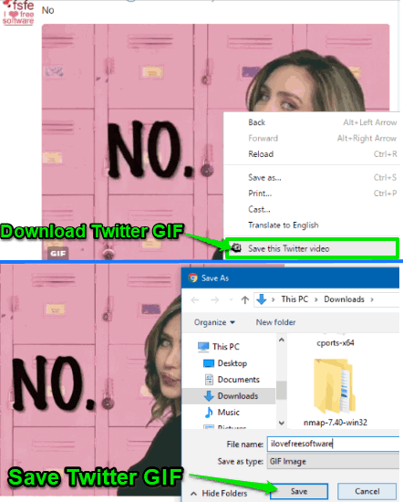 Chrome Twitter GIF downloader- Twitter Video Assist