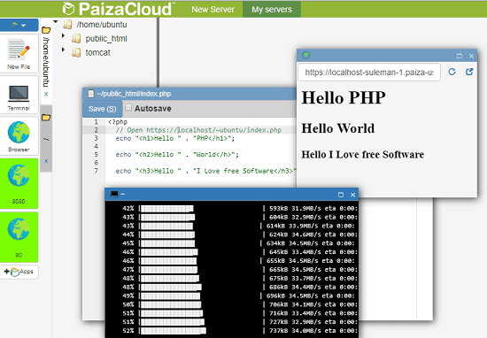 Paiza Cloud