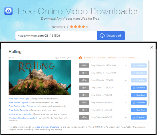 Free Online Video Downloader