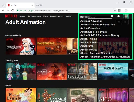 access Netflix hidden categories