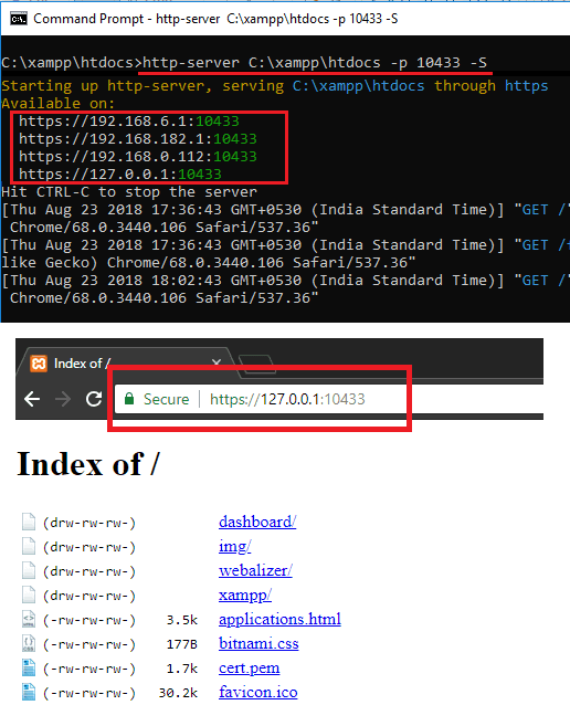 Local HTTPS server in action