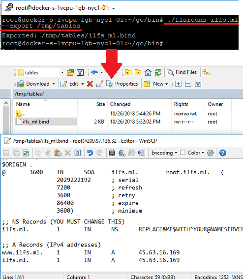 Flares CloudFlare DNS Backup