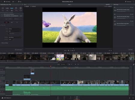 davinci resolve video editor for YouTube