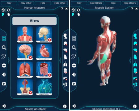 free 3D Human Anatomy Android app